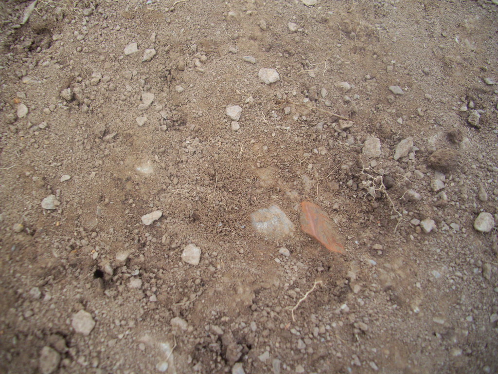 Samianware, or rather the cheaper local equivalent