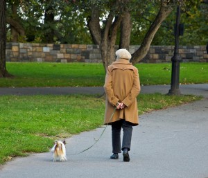 "Mavis, an eligible young bachelor has moved into number 36. Let's go defecate in his letterbox."